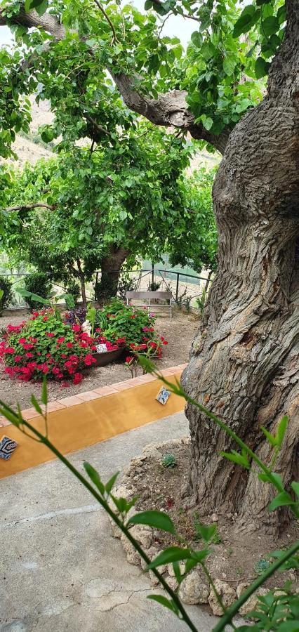 Casa Vacanze Fondaco Di Scillato Scillato  Dış mekan fotoğraf