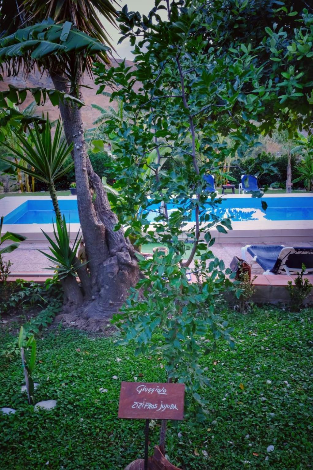 Casa Vacanze Fondaco Di Scillato Scillato  Dış mekan fotoğraf